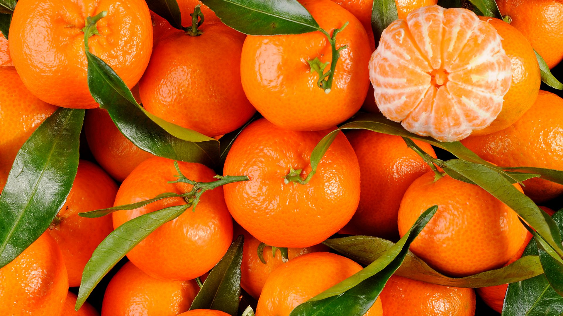 Techniques de contrôle de la qualité des produits transformés
