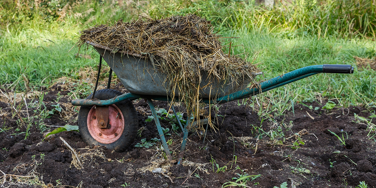 Formation Compost Enrichi avec Déjections de Lapin