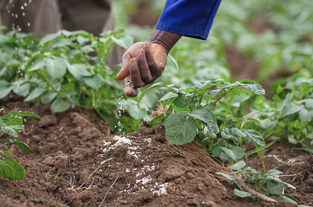 Formation en Production d'Engrais Bio, de Pesticides Bio et d'Insecticides Bio au Burkina