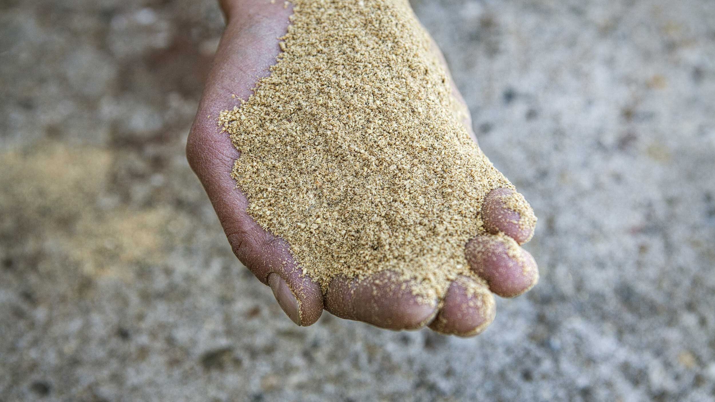 Formation en réalisation de provendes pour poules pondeuses