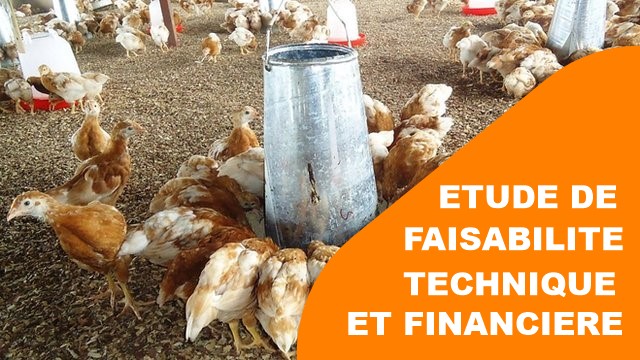 DEVIS AGRICOLE