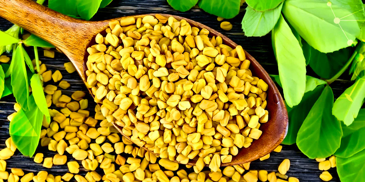 Guide pratique - Culture du fenugrec