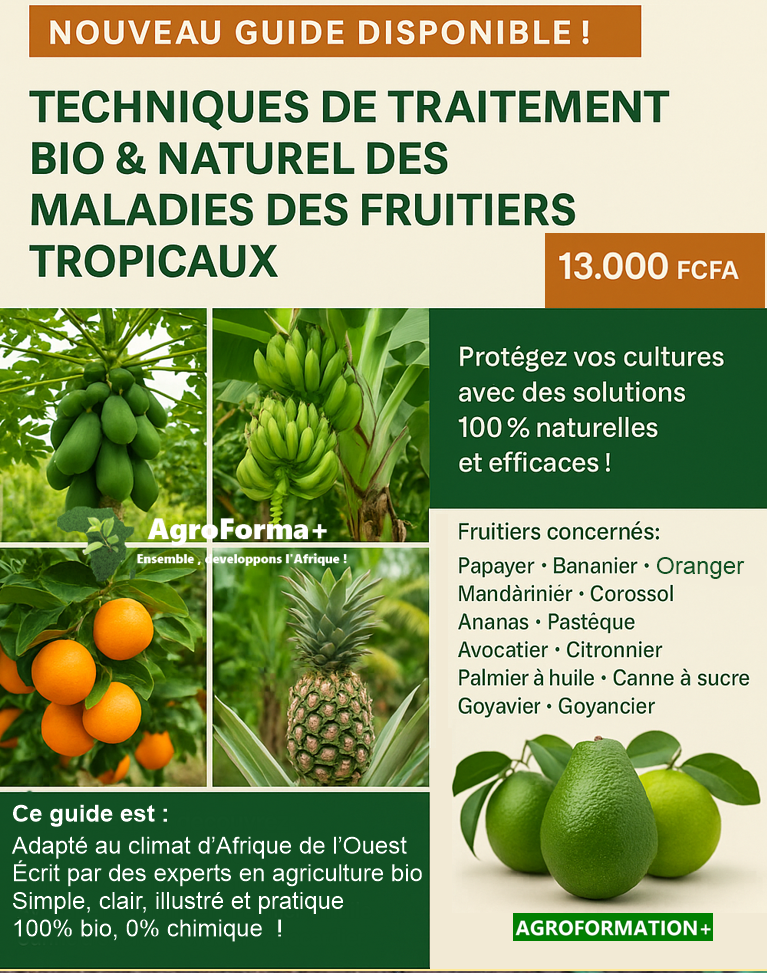 Guide pratique – Techniques de traitement BIO et NATUREL 🌳